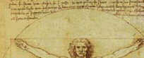 Détail de dessin de Leonardo da Vinci